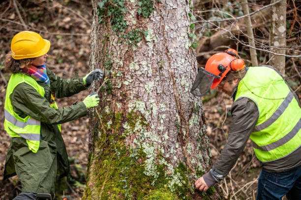 Berne, IN Tree Services Company